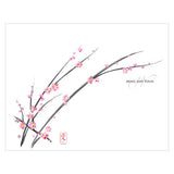 Cherry Blossom