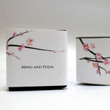 Cherry Blossom