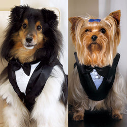 Pet Tux Small
