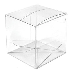 Transparent Acetate Favor Box